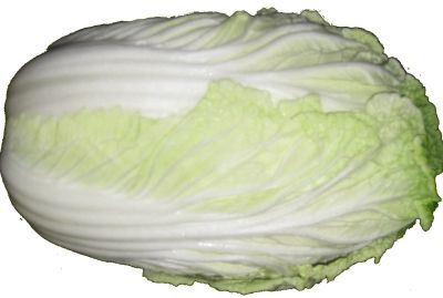 Tientsin cabbage