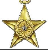 USN Silver Star